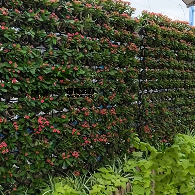 Çok cep bitki dikme çantası ke - Agriculture Vertical Farming incelemesi ve fiyatı