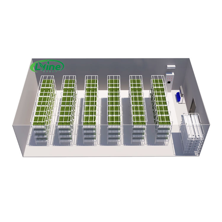 Tarımsal Seralar Marul NFT Hid - Agriculture Vertical Farming incelemesi ve fiyatı